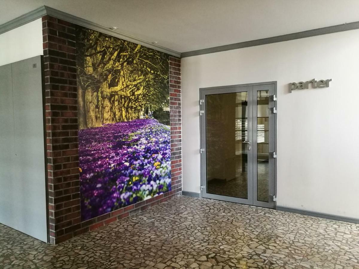 Apartment Janosik